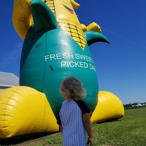 Meet your Posher, Tieraney